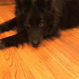 Meet your Posher, Catharine